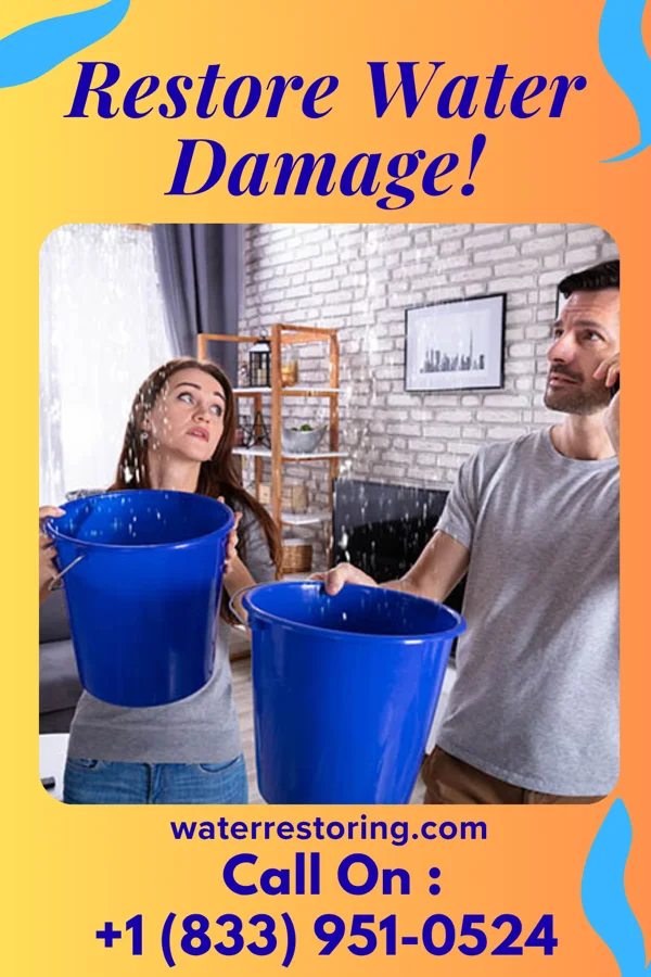 water restoration Ace Water Solutions Professionals Eldred