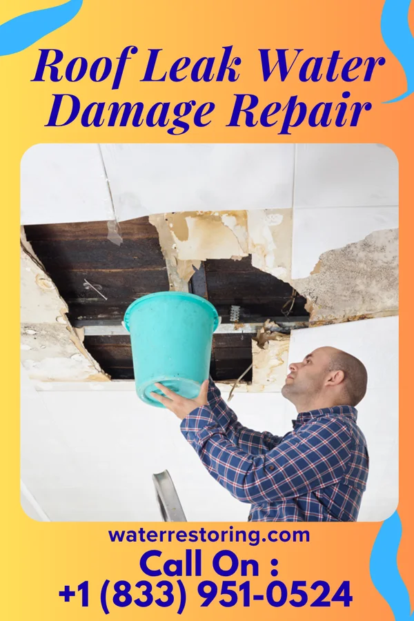 Roof Leak Water Damage Repair in Eldred, PA