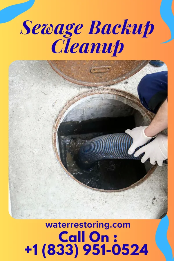 Sewage Backup Cleanup in Eldred, PA