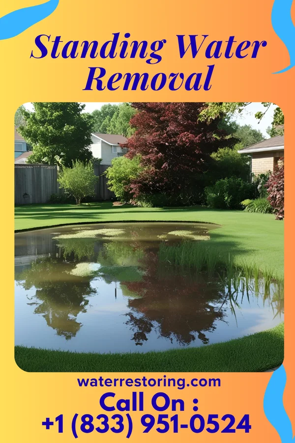 Standing Water Removal in Eldred, PA